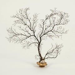 Black Coral Sea Fan Sculpture