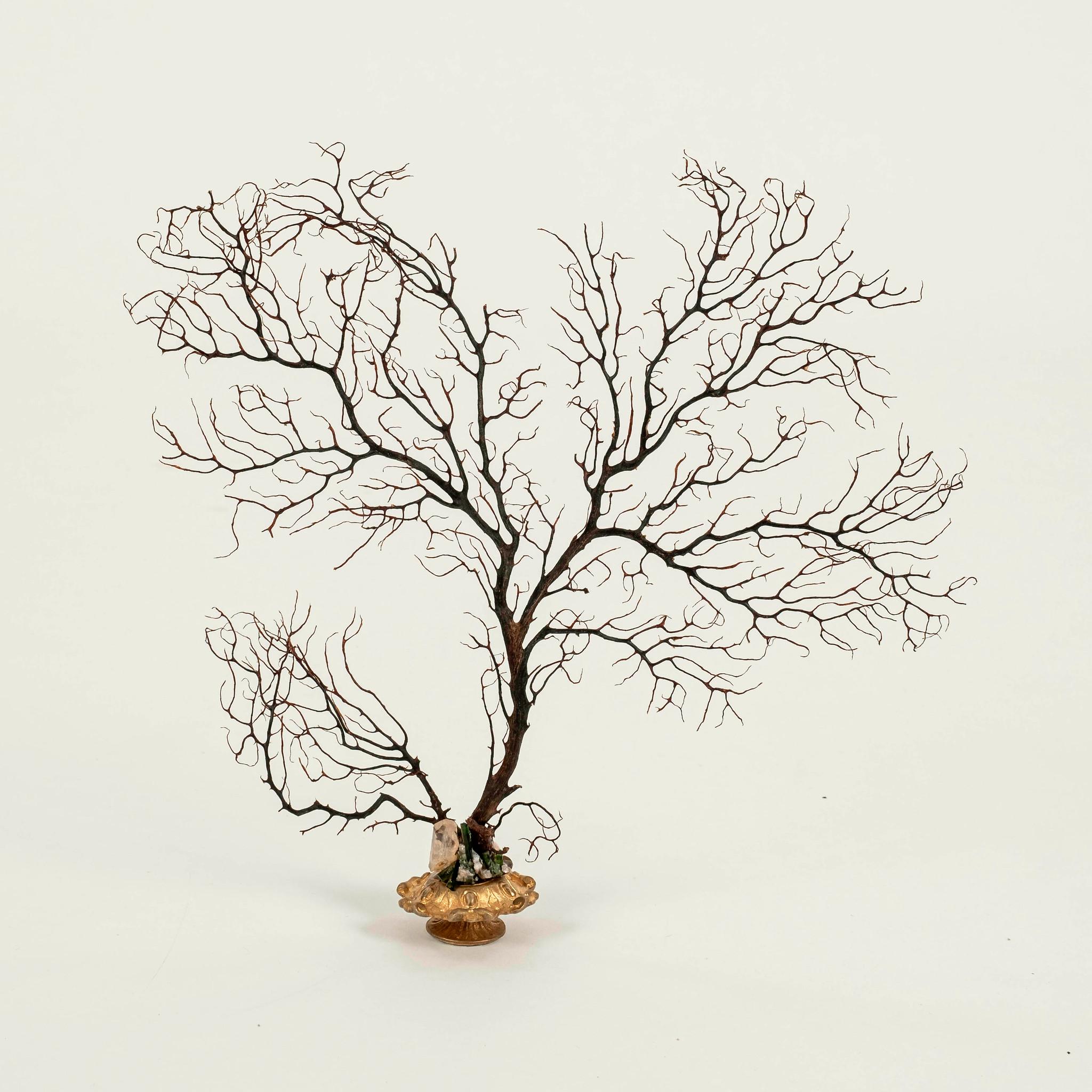 Sculpture éventail de mer en corail noir Bon état - En vente à Houston, TX