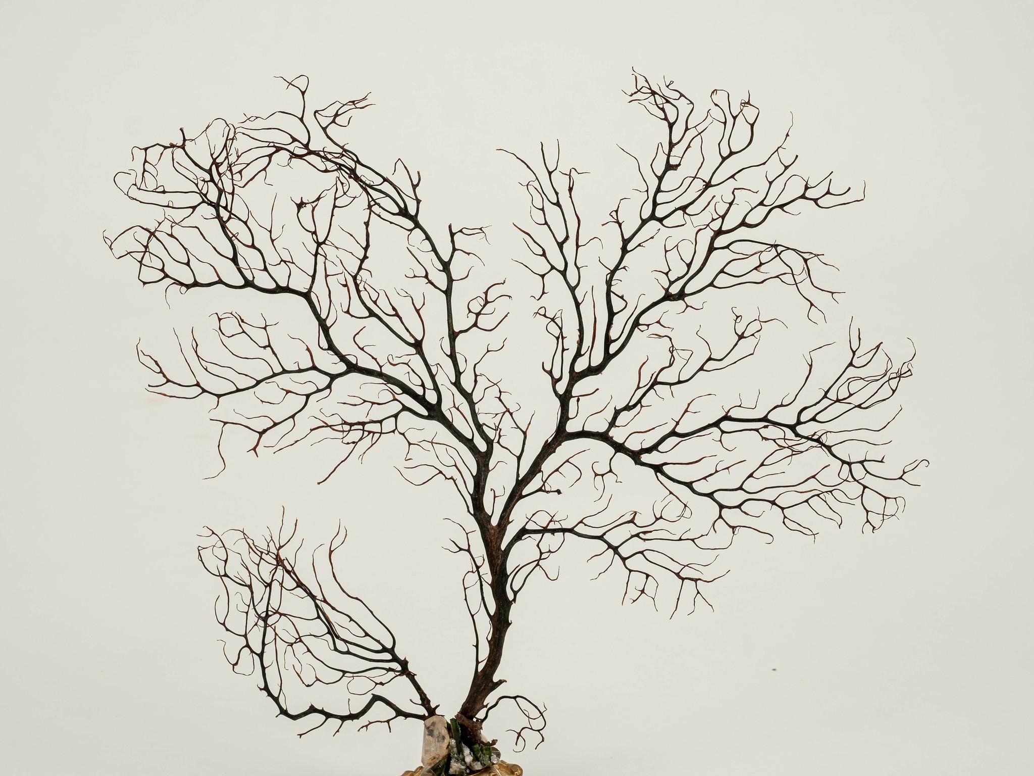 Bronze Sculpture éventail de mer en corail noir en vente