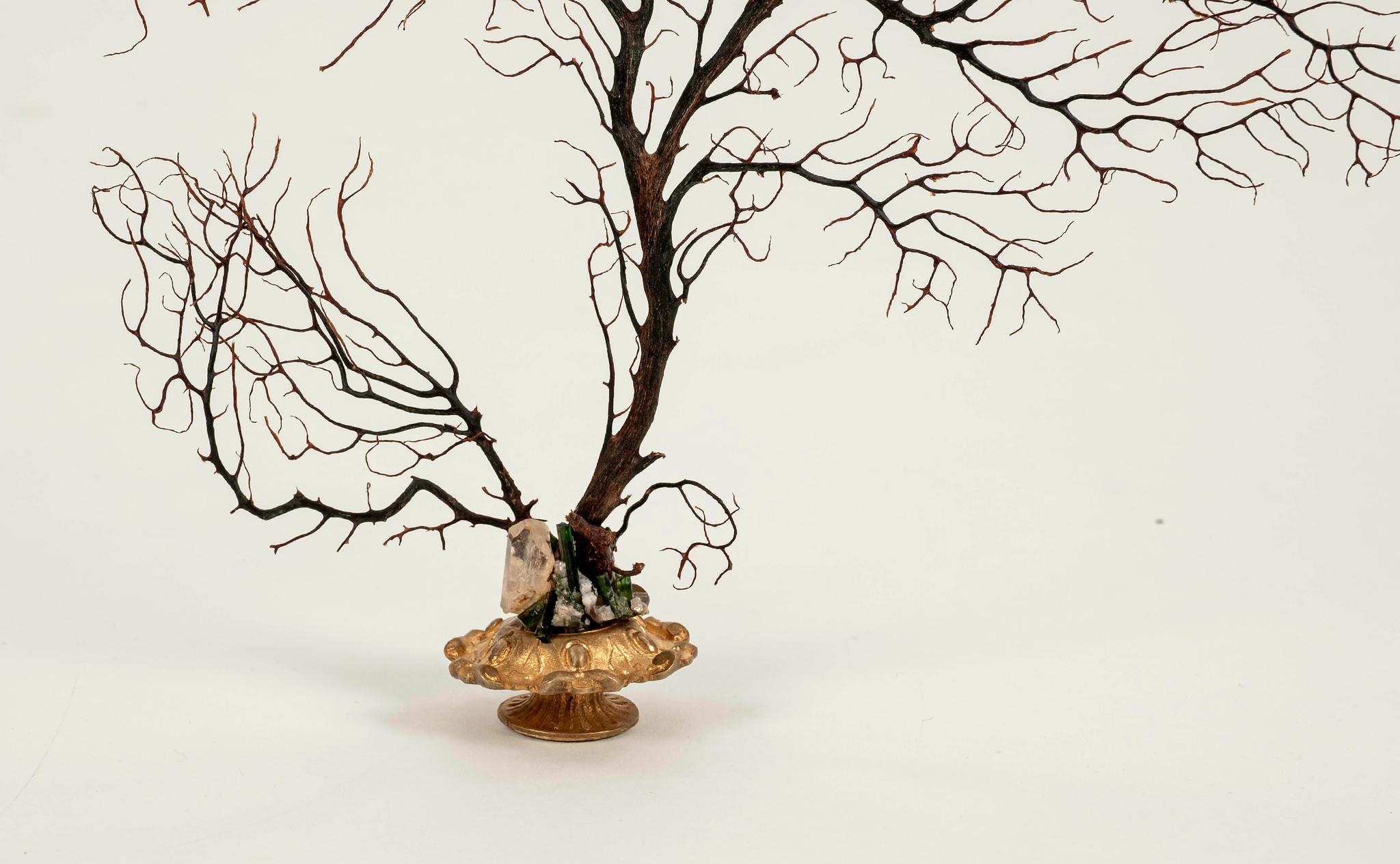 Sculpture éventail de mer en corail noir en vente 1