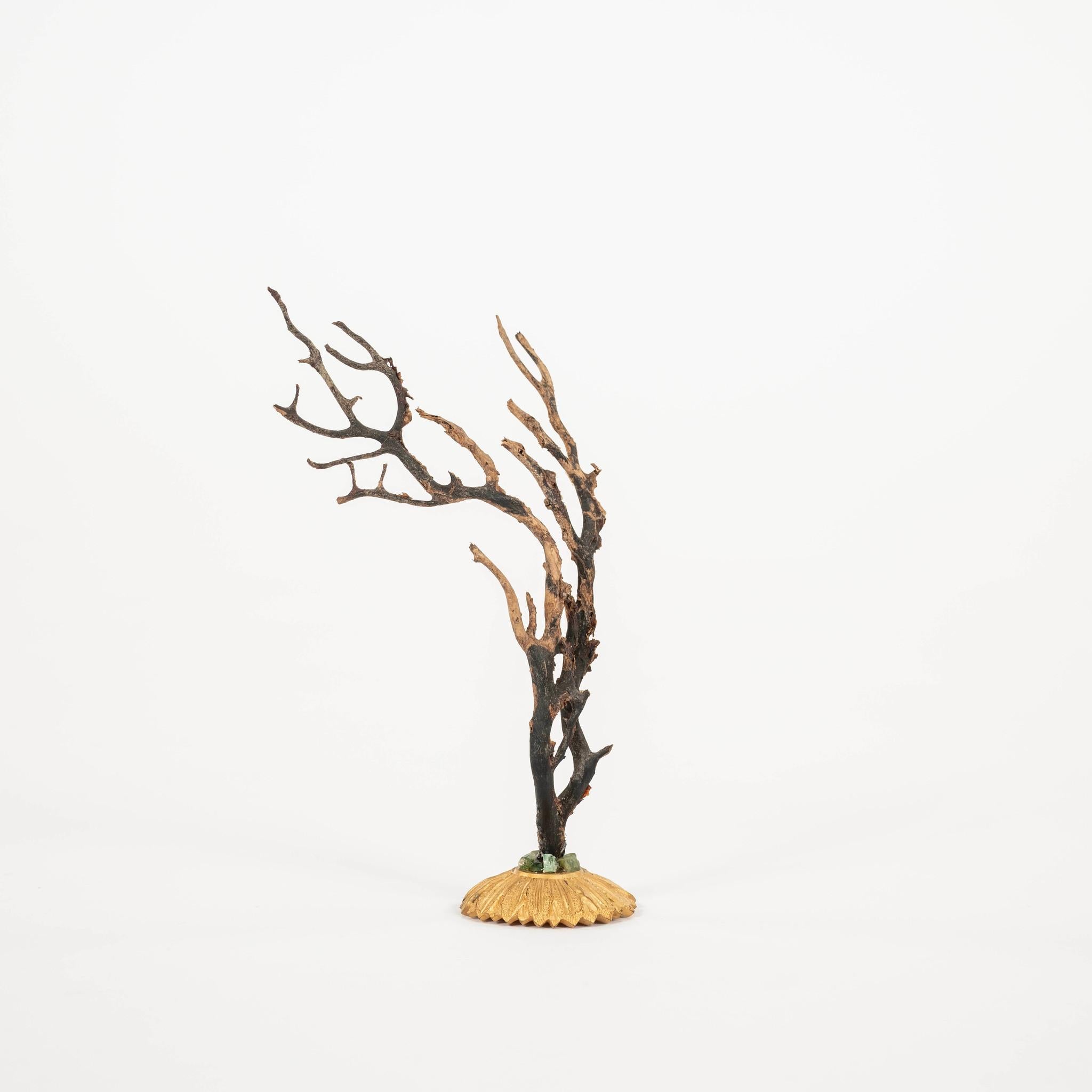 Eventail en corail noir monté sur un fragment de bronze doré français du XIXe siècle. Il s'agit d'un bel objet d'art à ajouter à votre collection ou à votre cabinet.  

À la Renaissance, des cabinets d'art et de curiosité ont été créés pour les