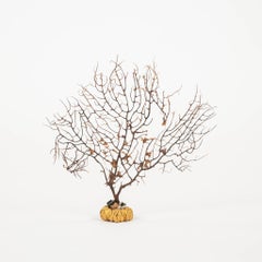 Black Coral Sea Fan Sculpture~ Napoleon III Bronze Doré Fragment