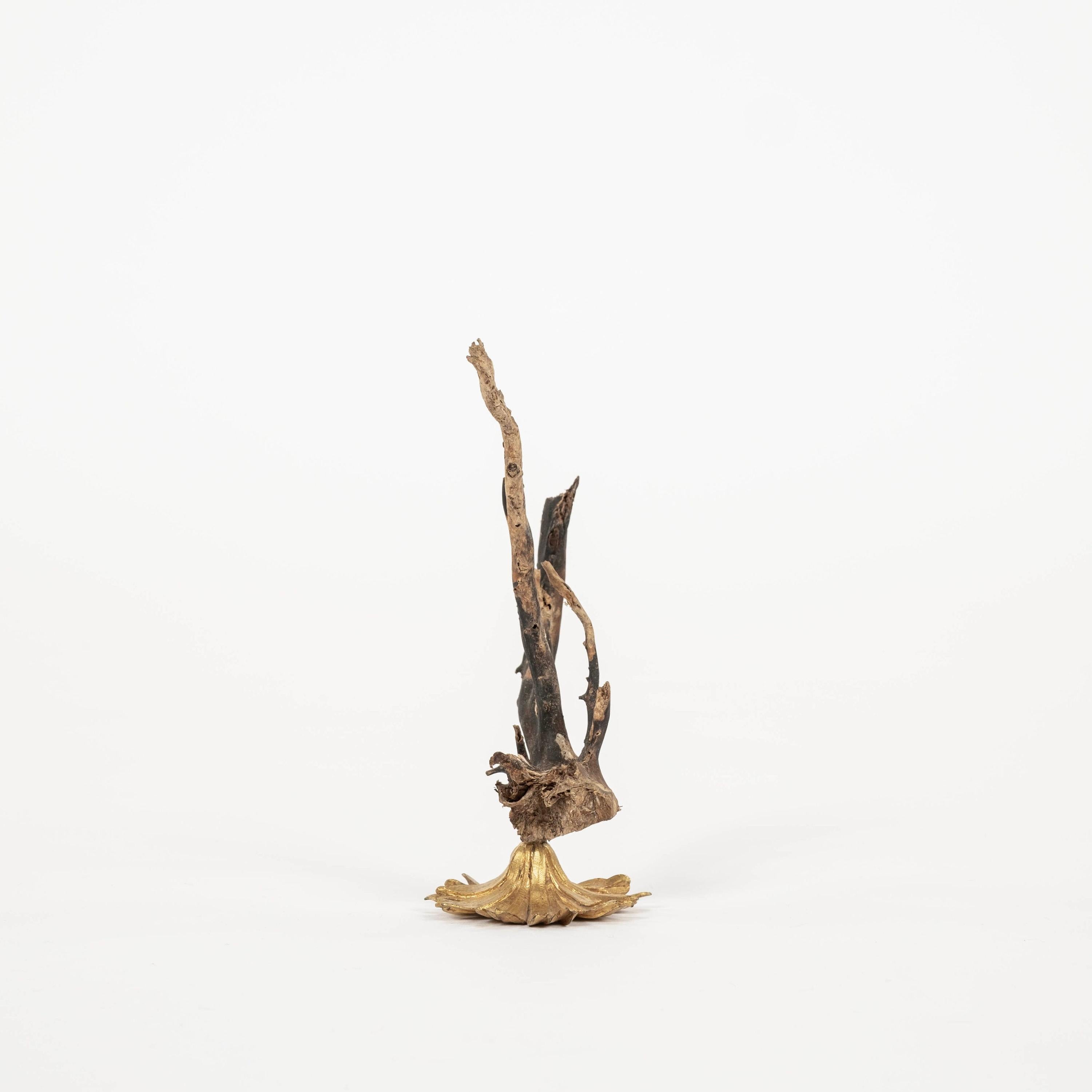 Renaissance Sculpture d'éventail de mer en corail noir~ Fragment de bronze doré de Napoléon III en vente