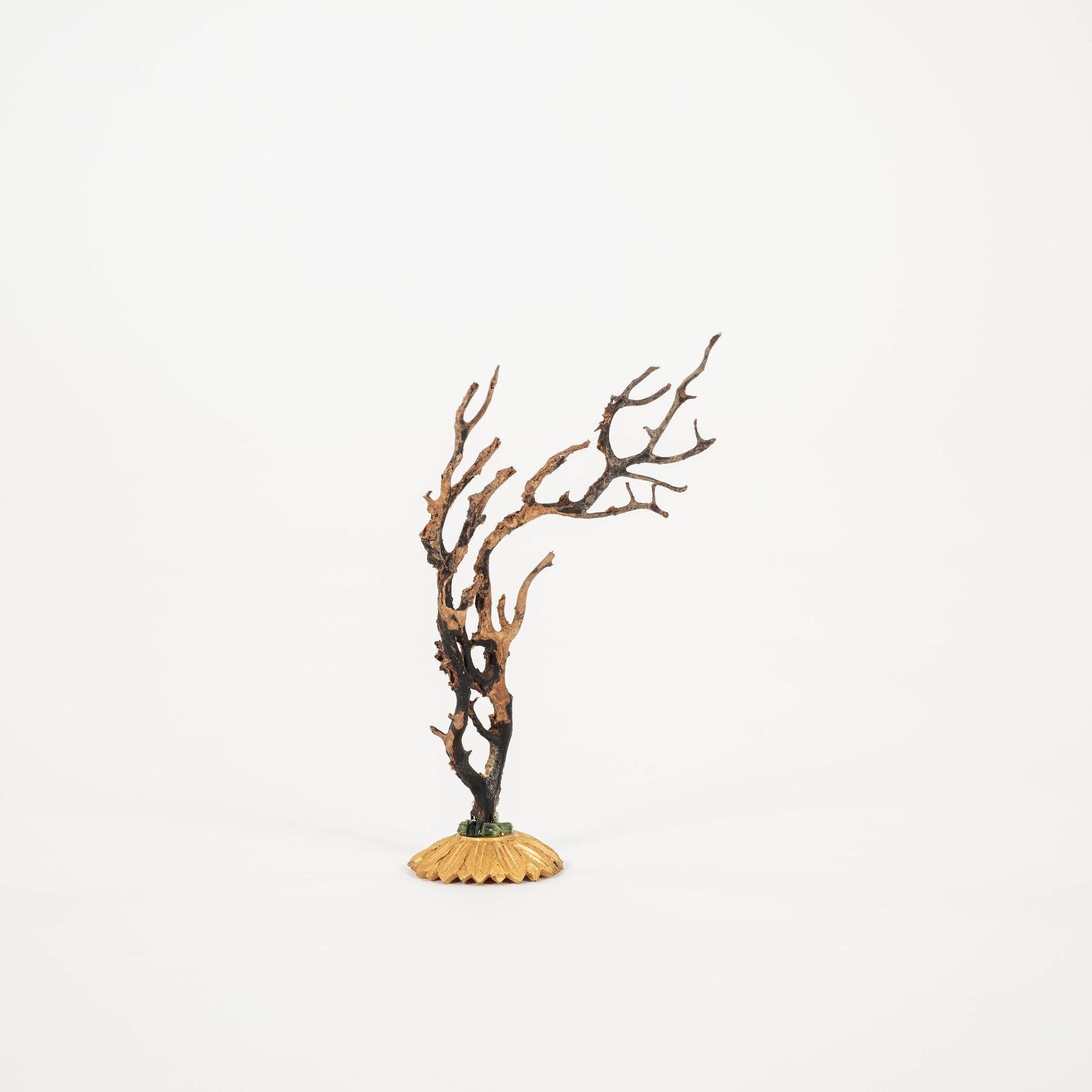 XXIe siècle et contemporain Sculpture d'éventail de mer en corail noir~ Fragment de bronze doré de Napoléon III en vente