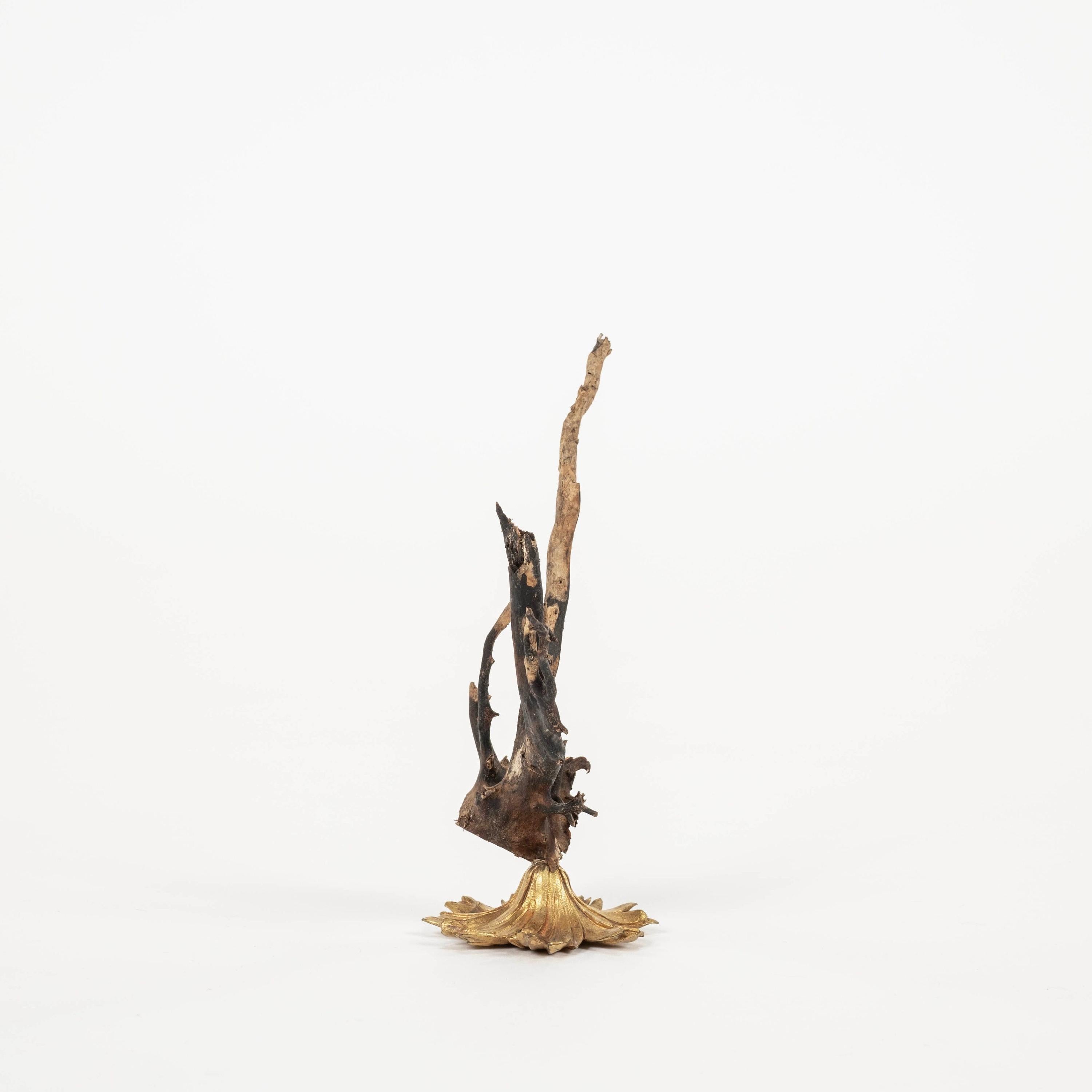 XXIe siècle et contemporain Sculpture d'éventail de mer en corail noir~ Fragment de bronze doré de Napoléon III en vente