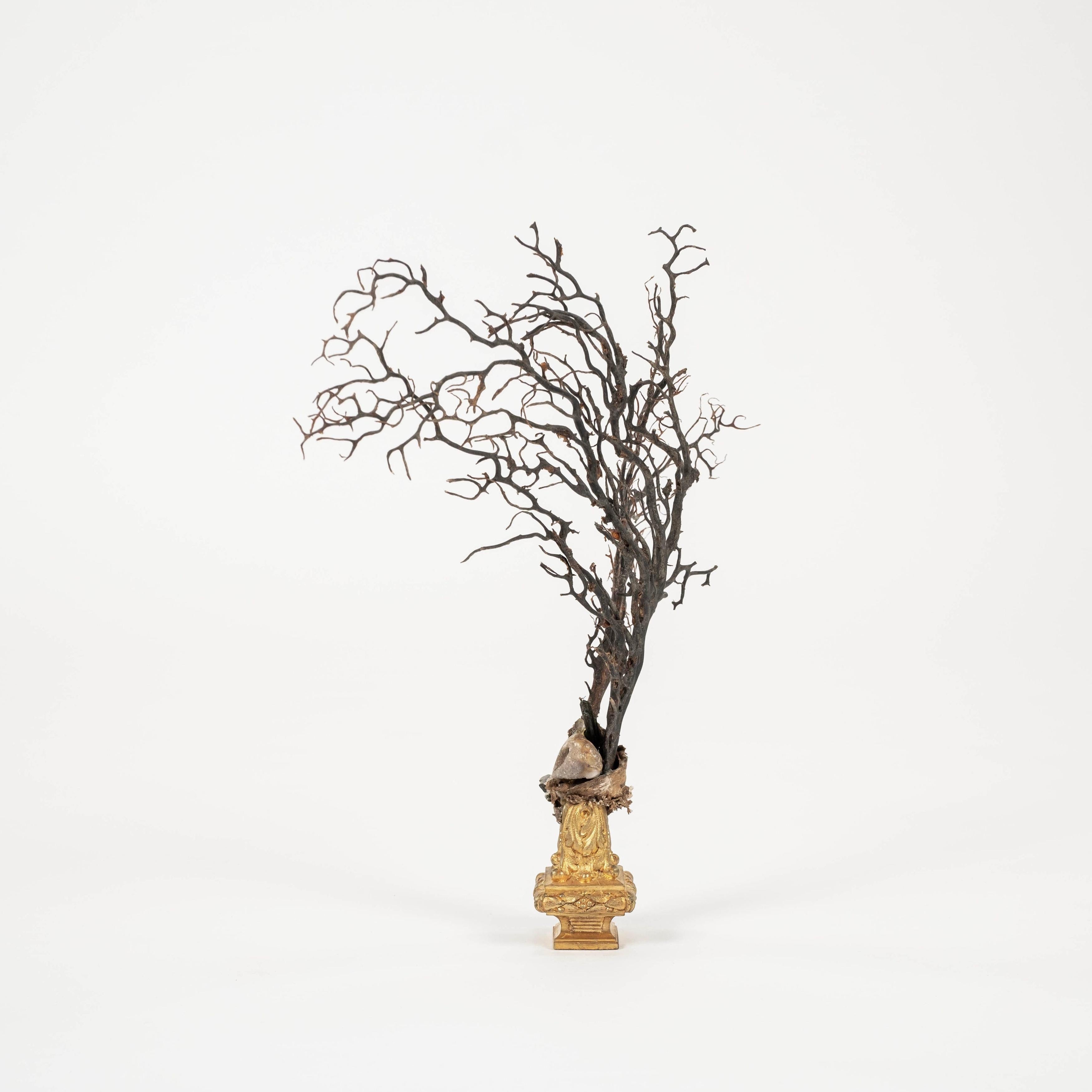 XXIe siècle et contemporain Sculpture d'éventail de mer en corail noir~ Fragment de bronze doré de Napoléon III en vente
