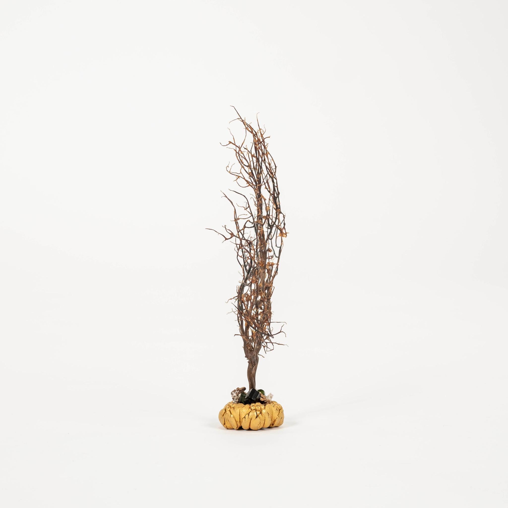 XXIe siècle et contemporain Sculpture d'éventail de mer en corail noir~ Fragment de bronze doré de Napoléon III en vente