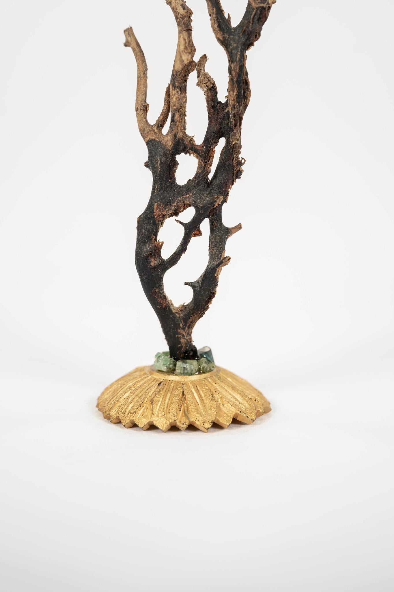 Sculpture d'éventail de mer en corail noir~ Fragment de bronze doré de Napoléon III en vente 2