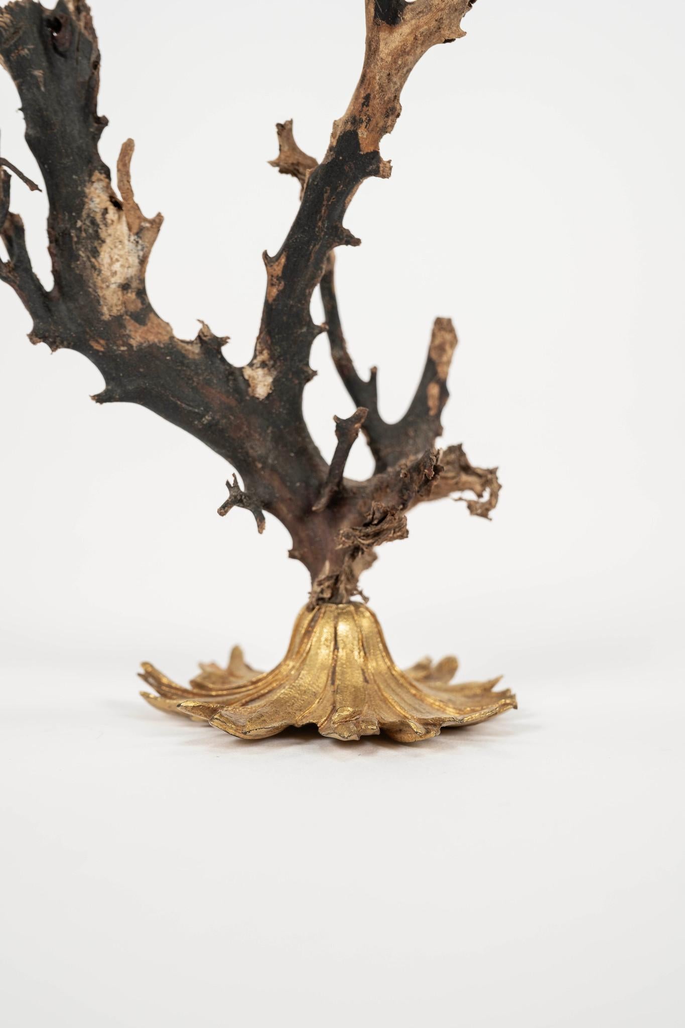 Sculpture d'éventail de mer en corail noir~ Fragment de bronze doré de Napoléon III en vente 1