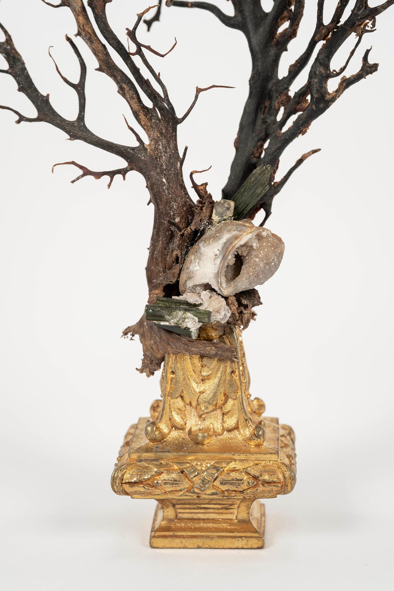 Sculpture d'éventail de mer en corail noir~ Fragment de bronze doré de Napoléon III en vente 1
