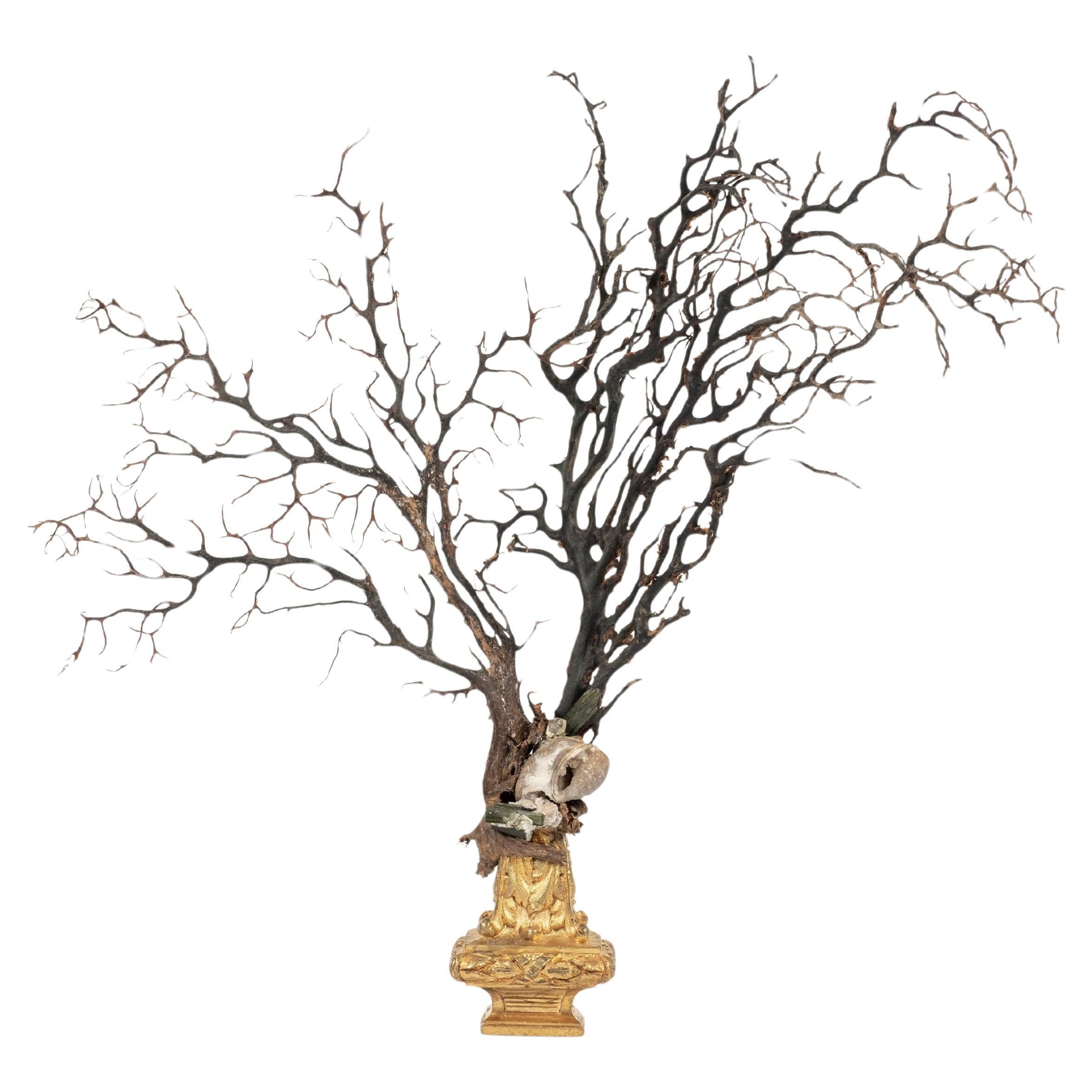 Sculpture d'éventail de mer en corail noir~ Fragment de bronze doré de Napoléon III