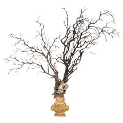 Sculpture d'éventail de mer en corail noir~ Fragment de bronze doré de Napoléon III