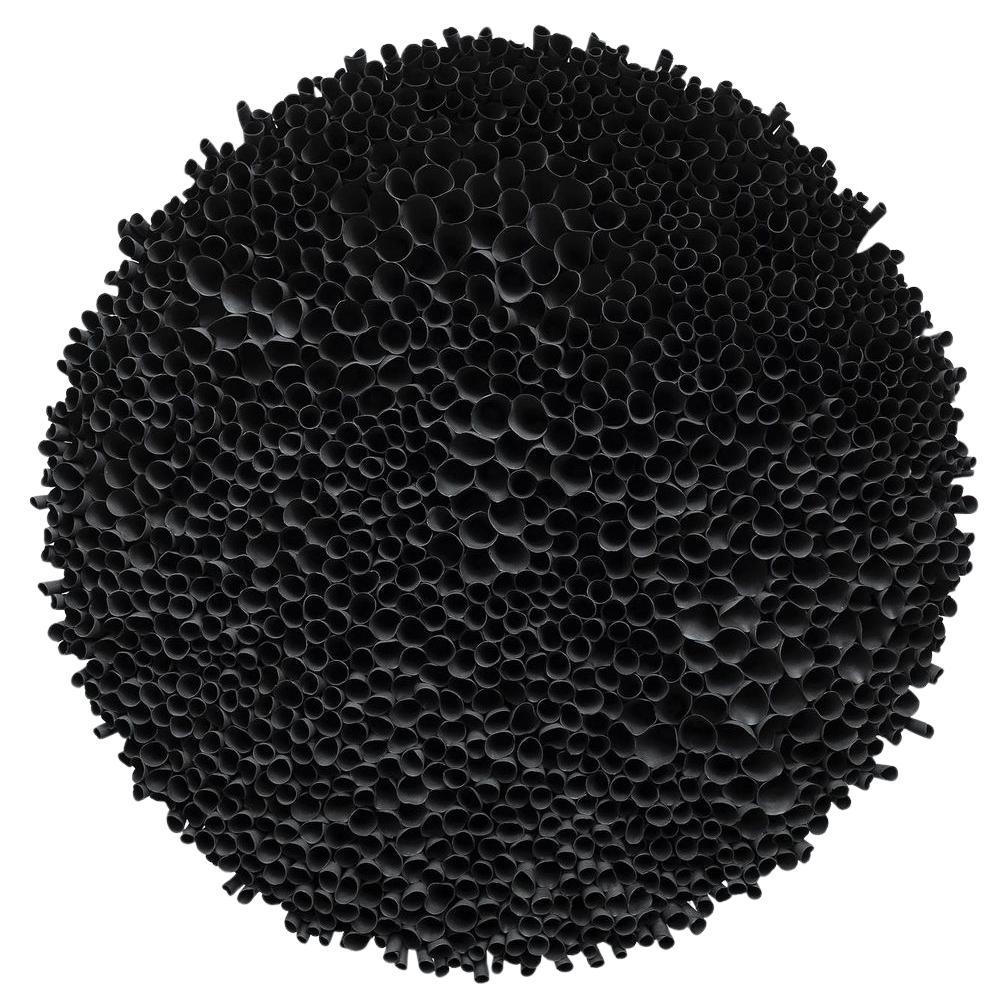 Scultura da parete in corallo nero di Valeria Nascimento in vendita