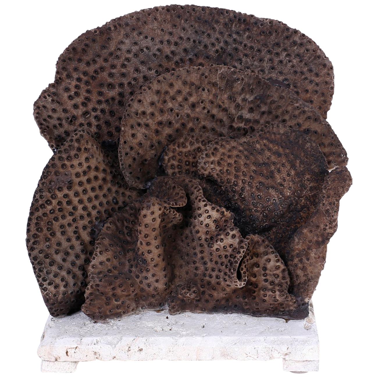 Korallen-Skulptur in schwarzer Tasse