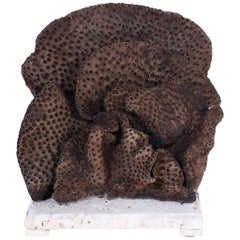 Black Cup Coral Sculpture