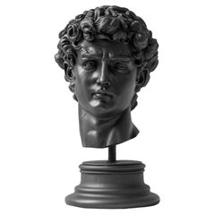 Used Black David Bust Made with Compressed Marble Powder 'Florence Accademia G.'