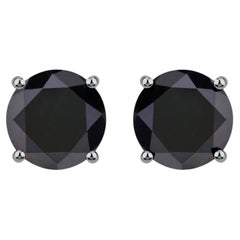 Black Diamond Stud Earrings 4.25 Carats 14K White Gold