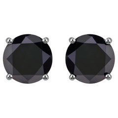 Black Diamond Stud Earrings 4.25 Carats 14K White Gold