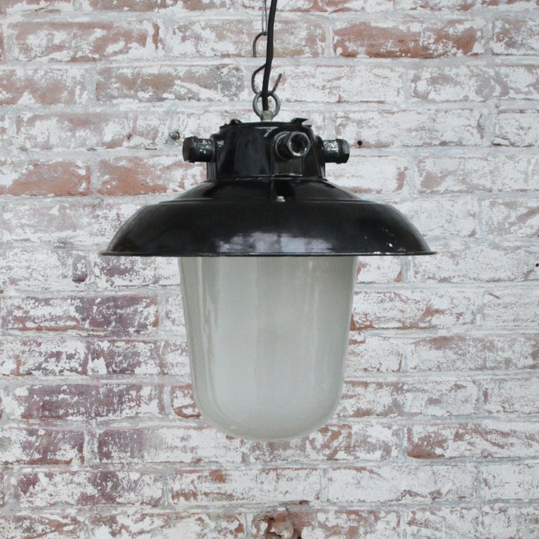 20th Century Black Enamel Vintage Industrial Frosted Glass Pendant Lights For Sale