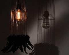 Black Feathers and Metal Pendant, France