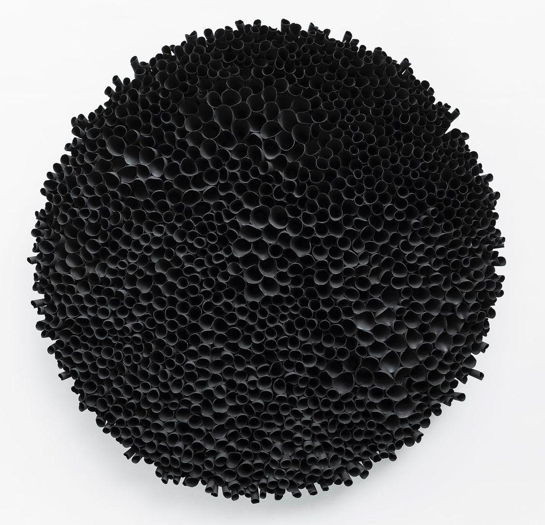 Brazilian Black Flora Wall Sculpture by Valeria Nascimento For Sale