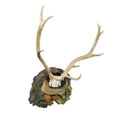 Black Forest 12 Pointer Deer Trophy on Plaster Plaque Germany 1920s
