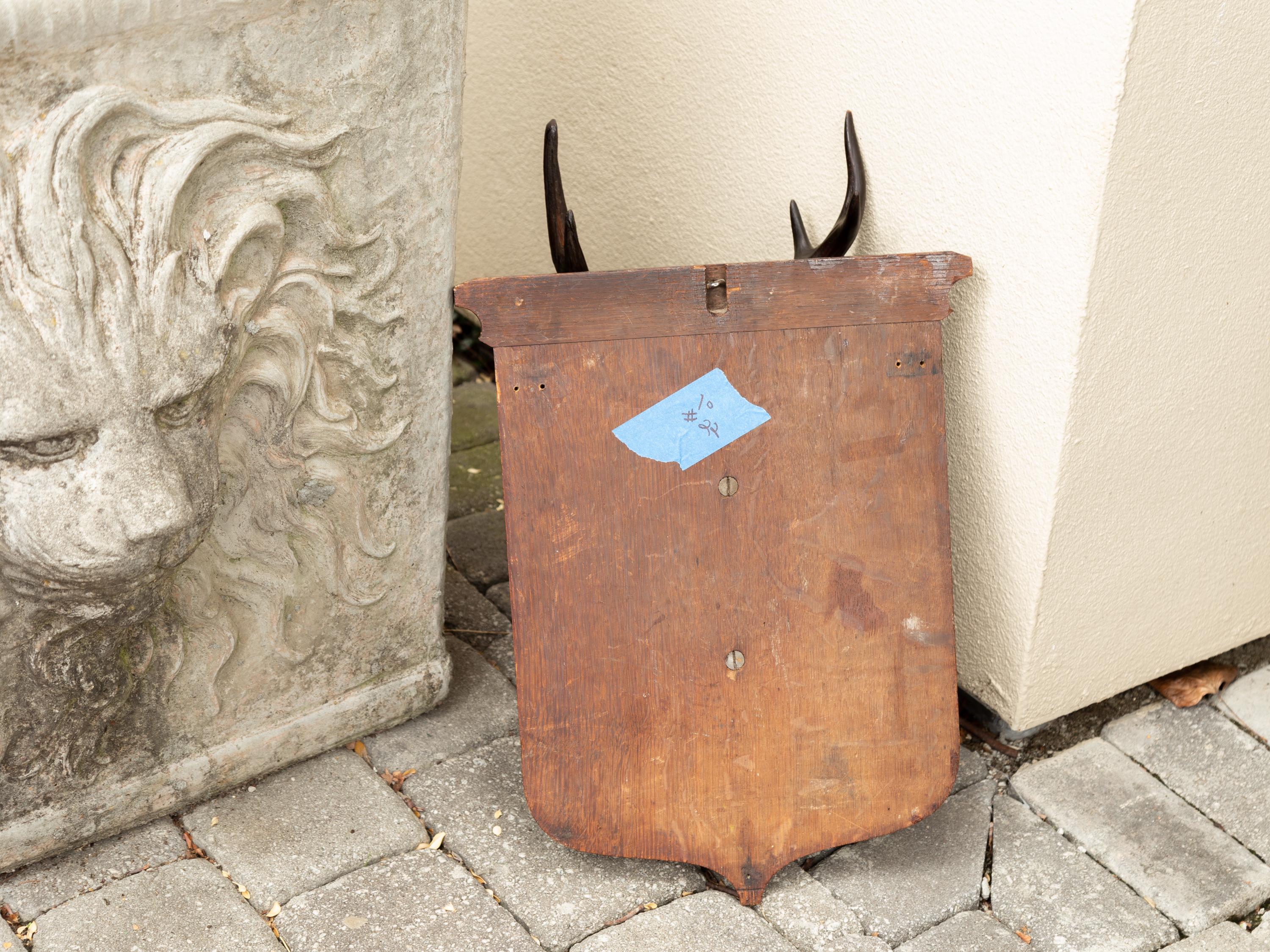 Schwarzwald 1900s Hand geschnitzt hölzernen Buck Kopf montiert auf Schild Platte im Angebot 6