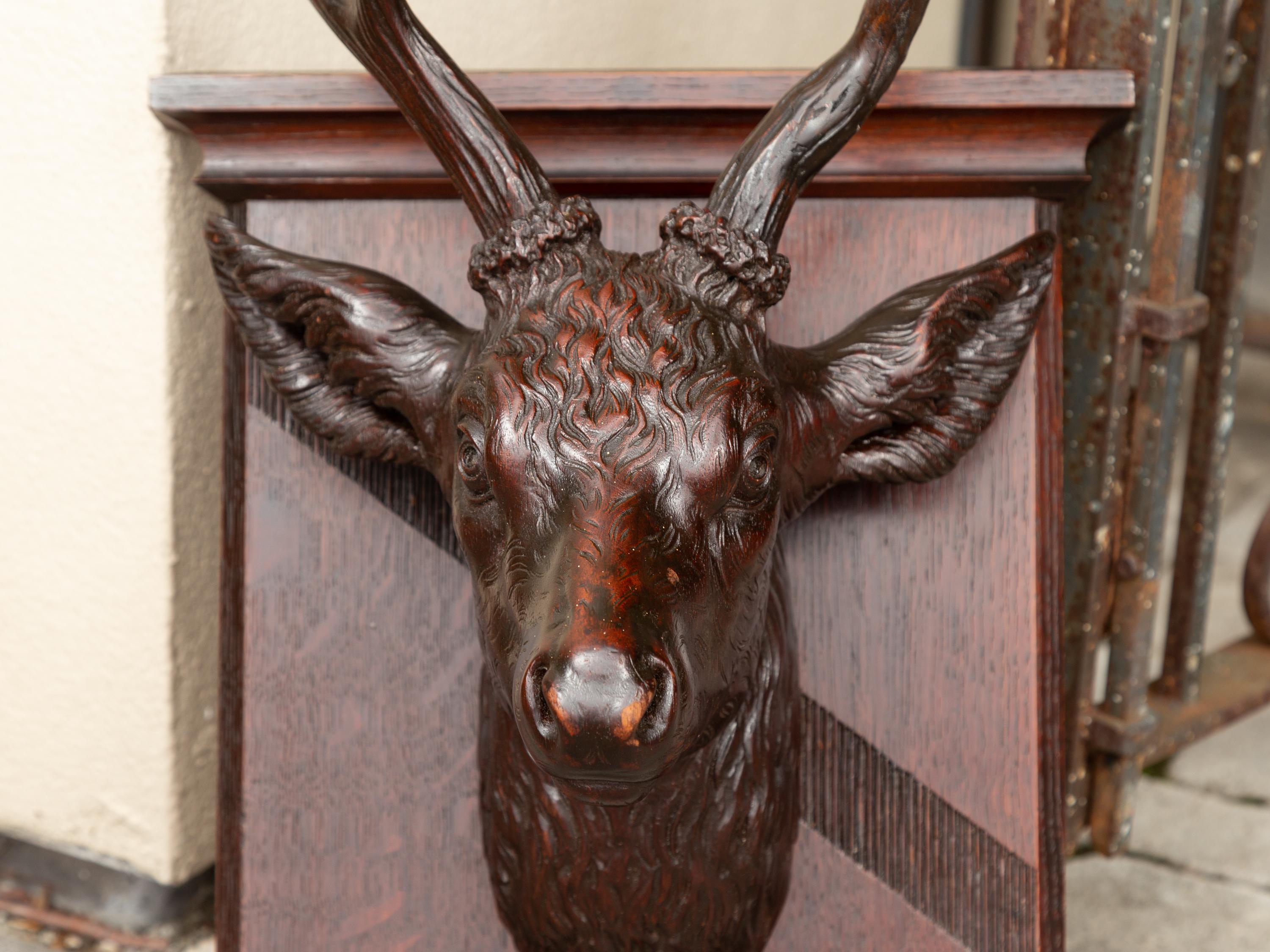 Swiss Black Forest 1900s Hand Carved Wooden Buck Head Mounted on Shield Plate For Sale