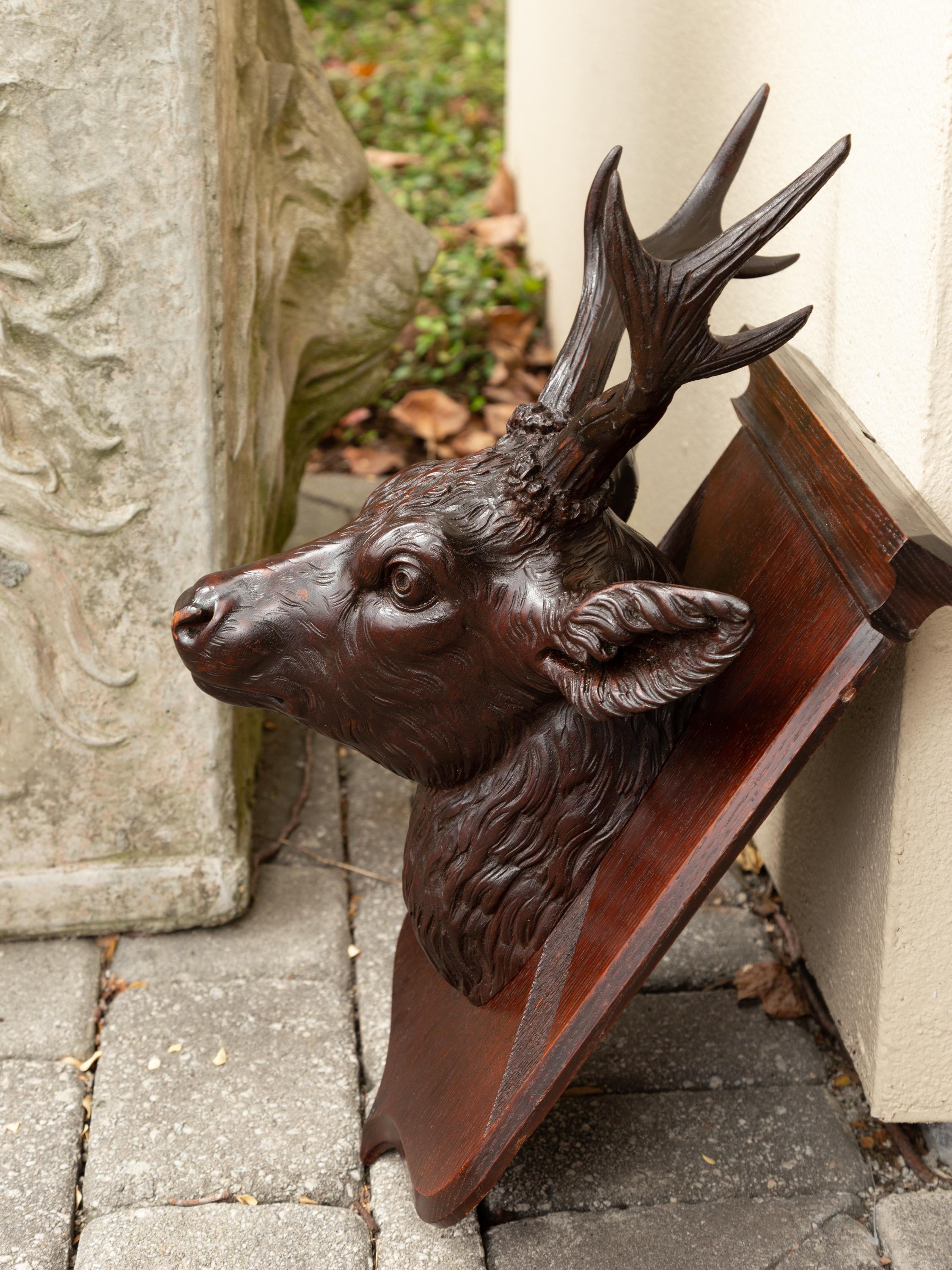 Hand-Carved Black Forest 1900s Hand Carved Wooden Buck Head Mounted on Shield Plate For Sale