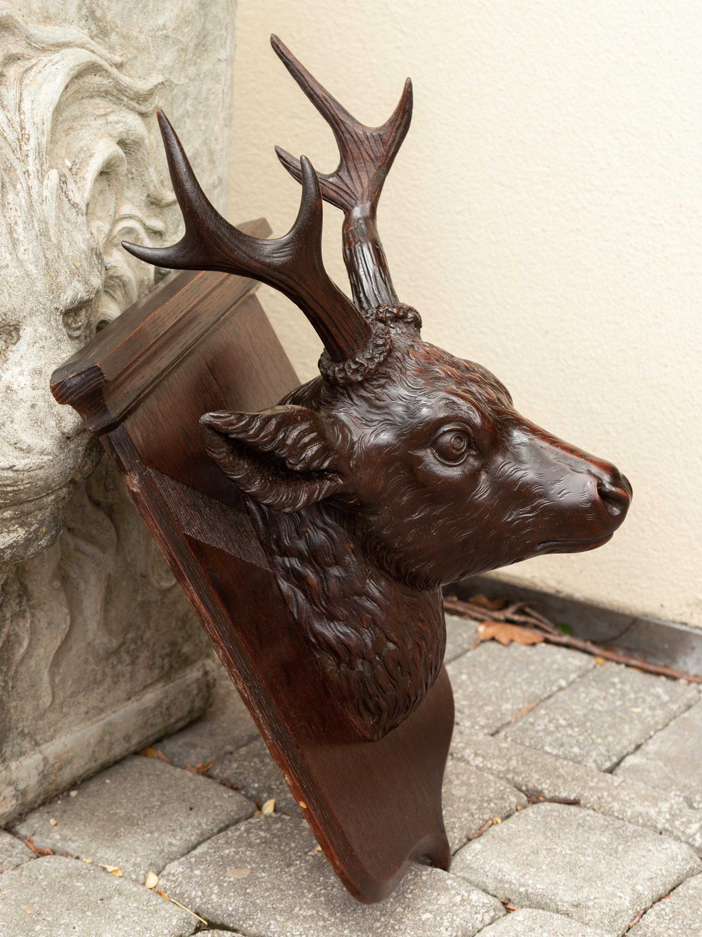 Black Forest 1900s Hand Carved Wooden Buck Head Mounted on Shield Plate In Good Condition For Sale In Atlanta, GA