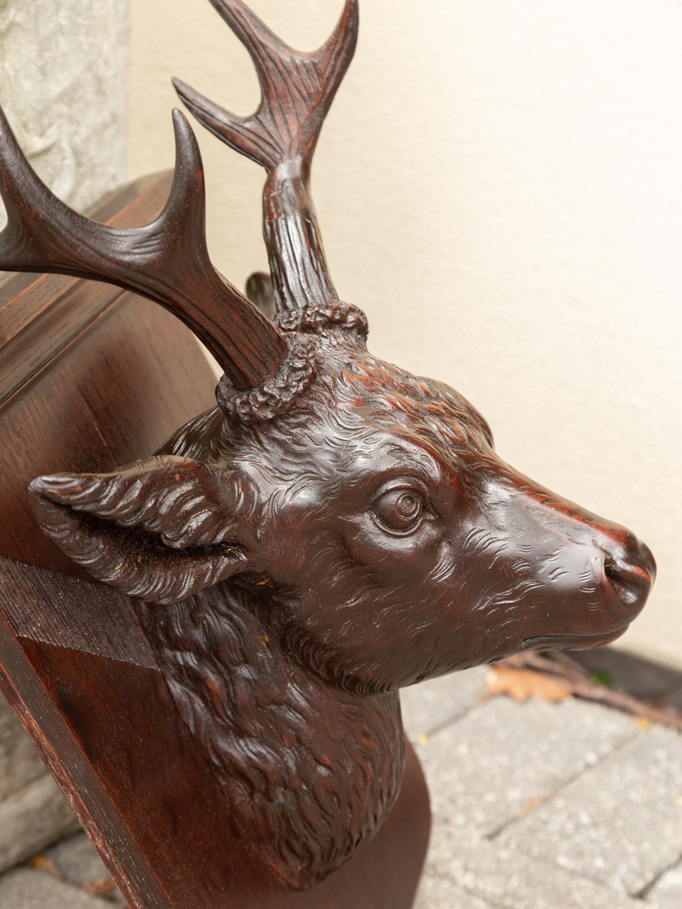 20th Century Black Forest 1900s Hand Carved Wooden Buck Head Mounted on Shield Plate For Sale