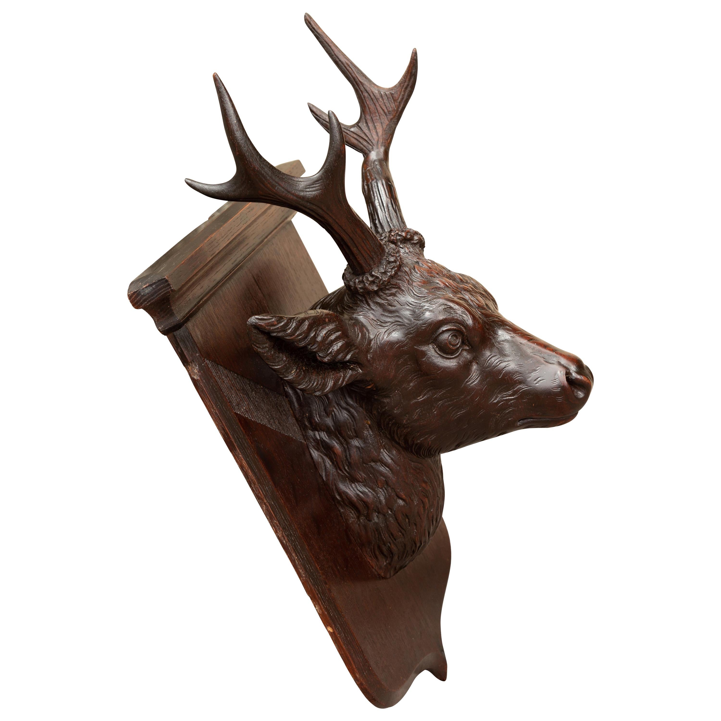 Black Forest 1900s Hand Carved Wooden Buck Head Mounted on Shield Plate