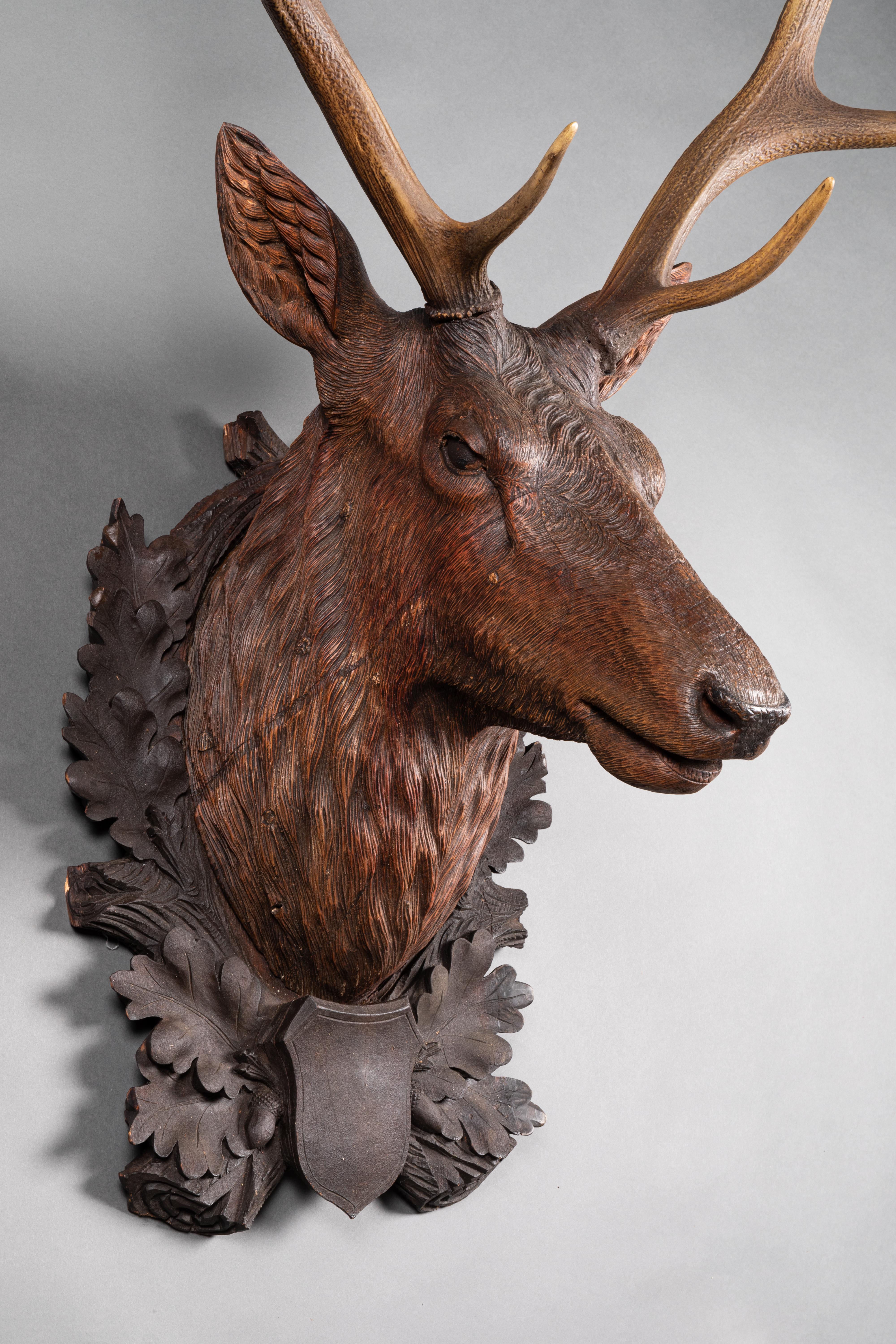 Black Forest, 19th century Deer trophy in carved wood, circa 1890.

#1 - Glass eyes
#2 - Carved wood eyes.

