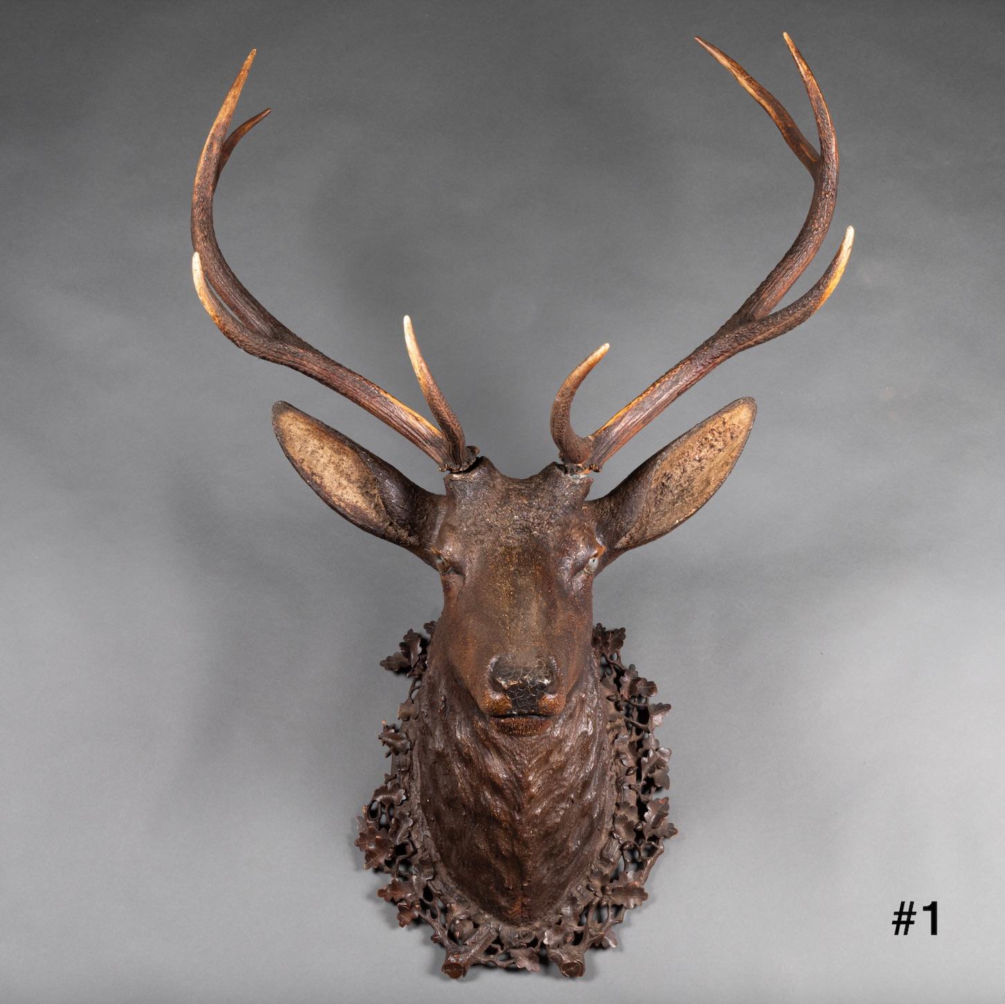 Black Forest, 19th Century, Deer Trophy in Carved Wood 1
