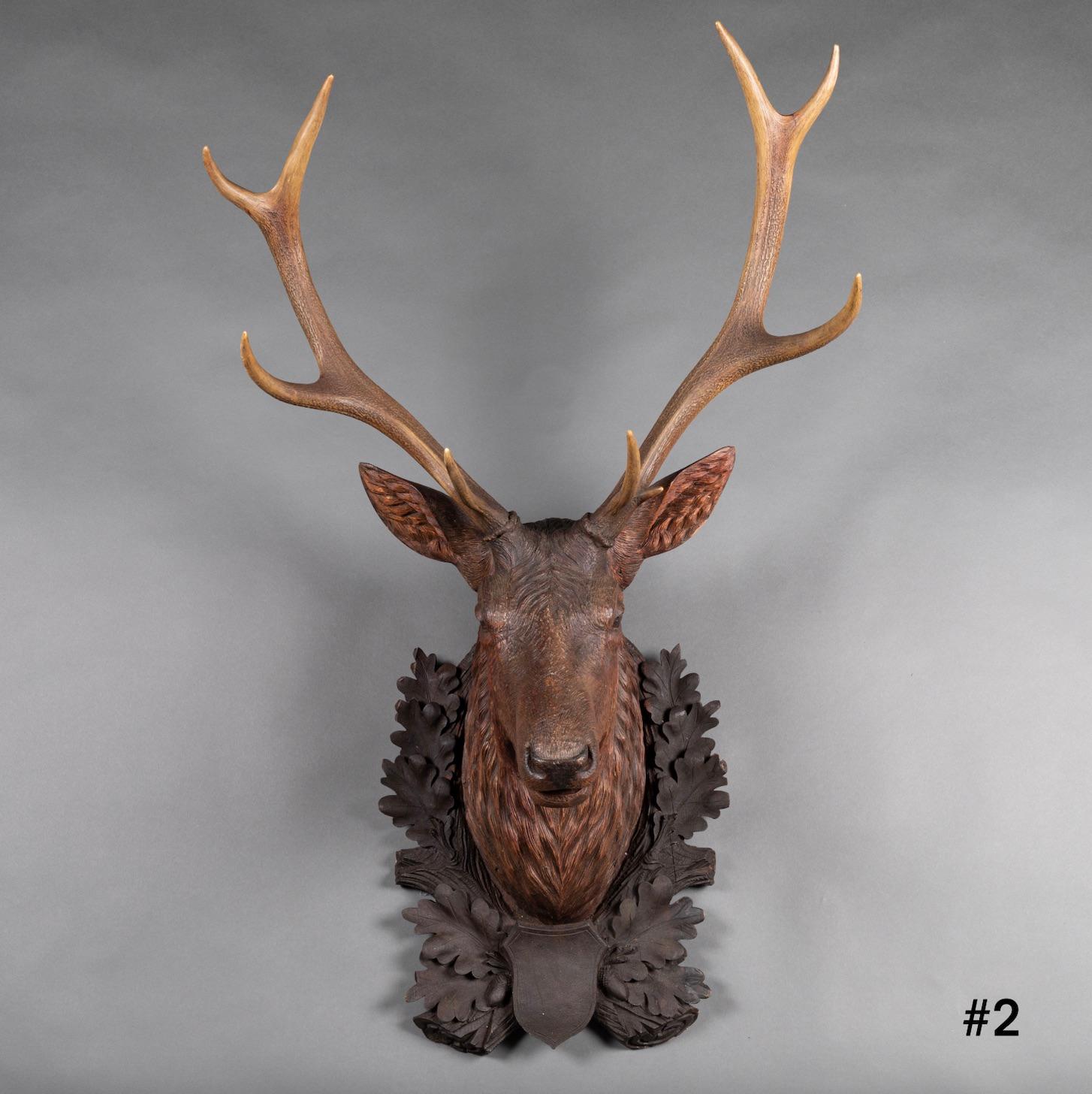 Black Forest, 19th Century, Deer Trophy in Carved Wood 2