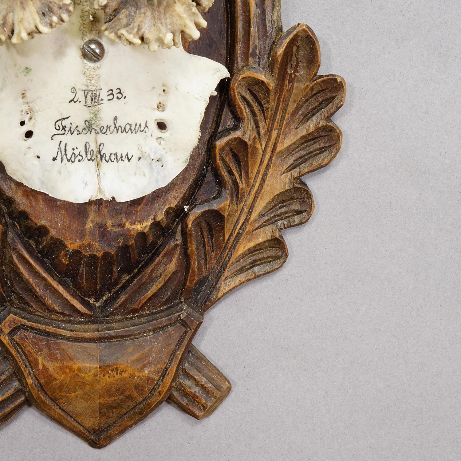 Black Forest Trofeo antiguo de corzo en placa tallada 1933 en Bueno estado para la venta en Berghuelen, DE