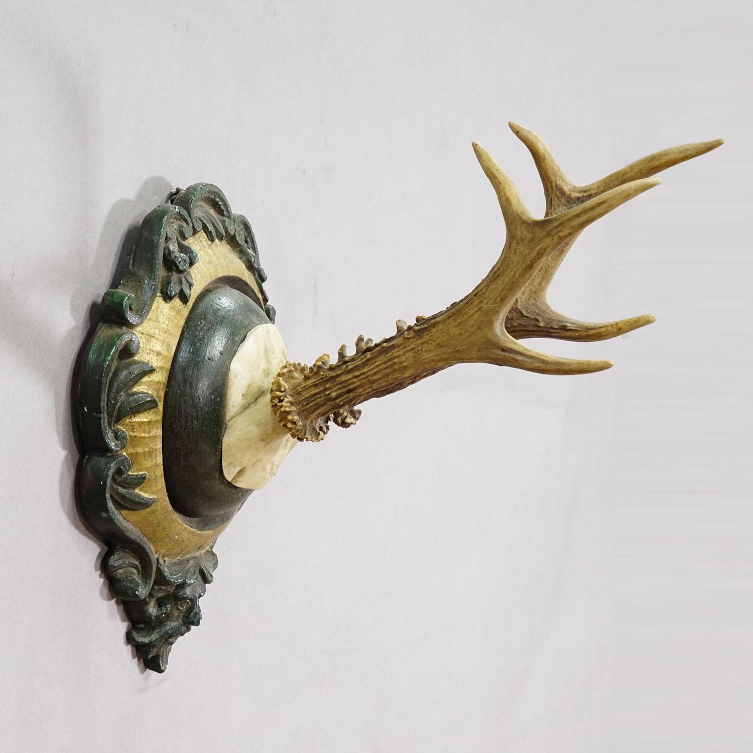 Black Forest Antike Reh-Trophäe auf gegossener Plakette 1940er Jahre

Eine Antiquität  Trophäe eines Rehs (Capreolus capreolus), montiert auf einer gegossenen Gipsplakette. Die Plakette ist in Grün und Gold gehalten. Die Trophäe wurde in den 1940er