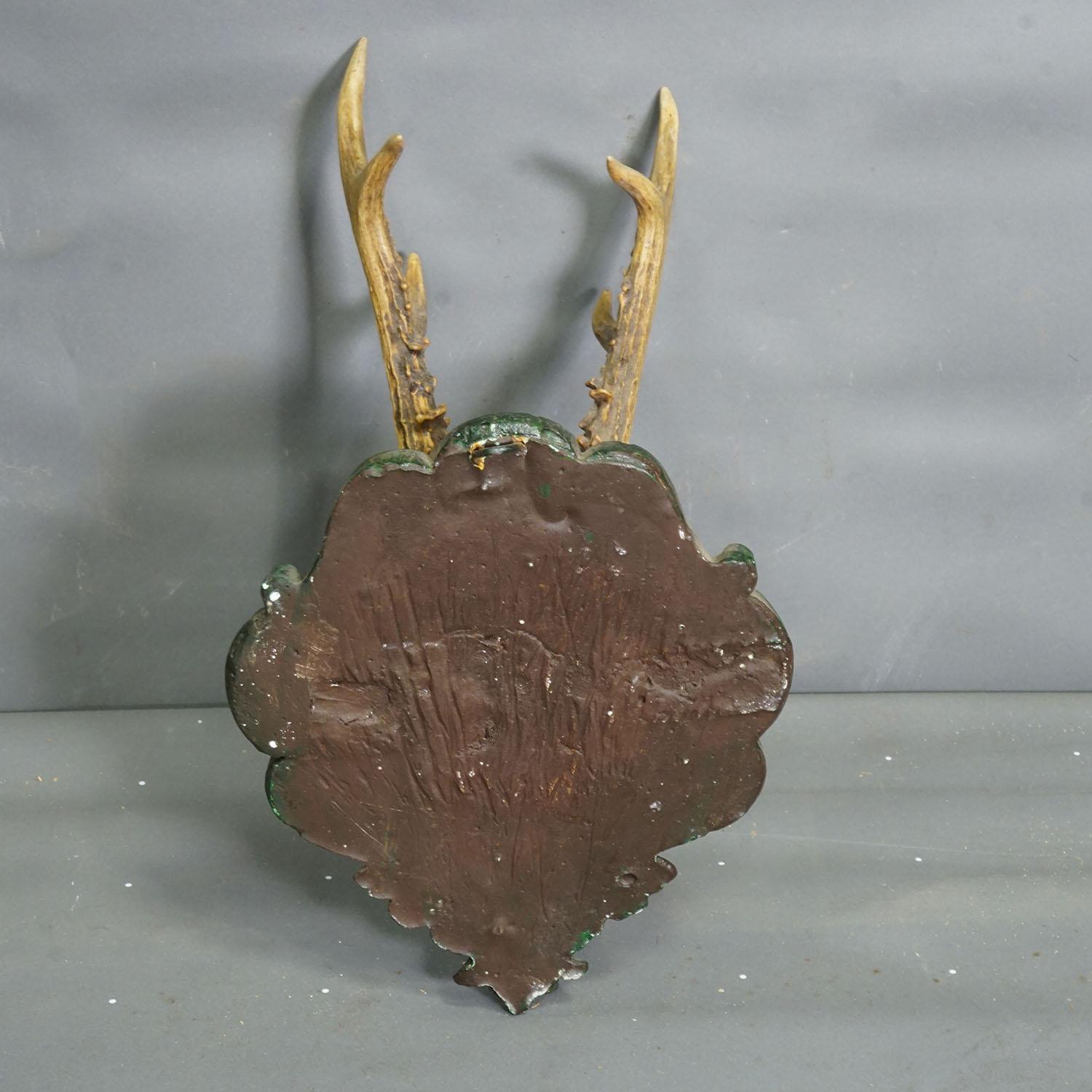 Black Forest Antike Reh-Trophäe auf gegossener Plakette 1940er Jahre (Mitte des 20. Jahrhunderts) im Angebot