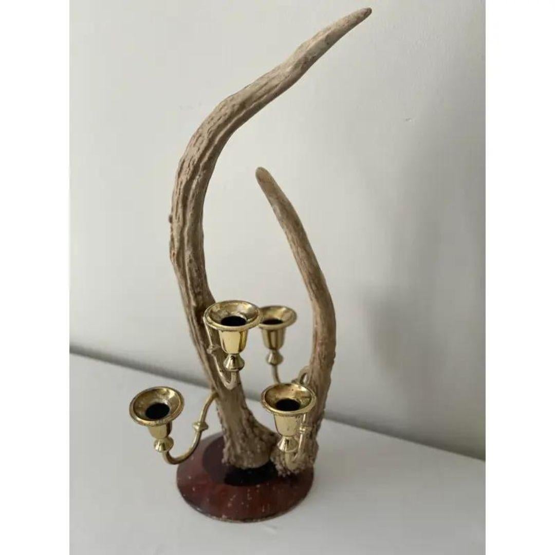 Black Forest Antler and Brass Candelabra For Sale 3