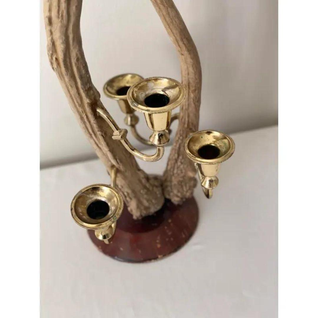 Black Forest Antler and Brass Candelabra In Good Condition For Sale In Cookeville, TN