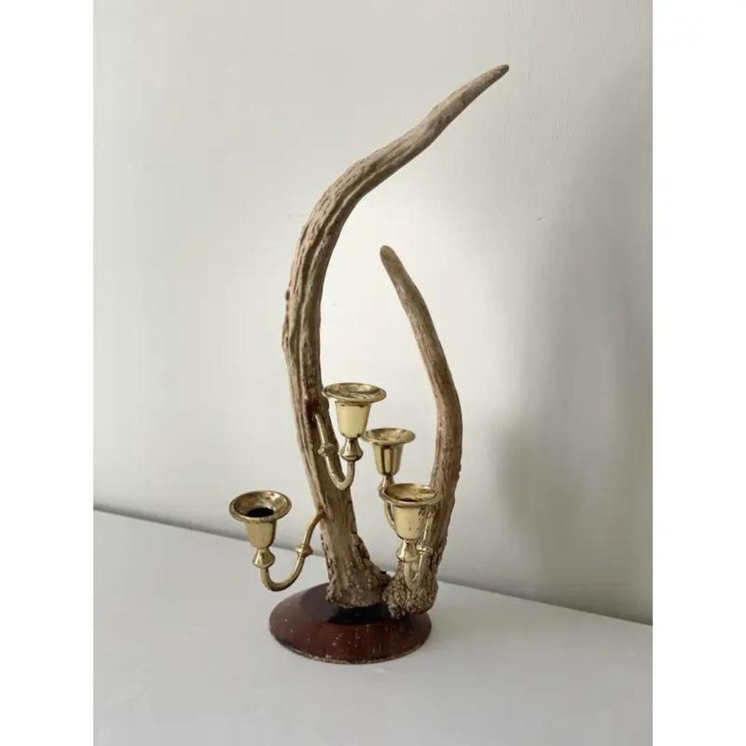 Black Forest Antler and Brass Candelabra For Sale 1