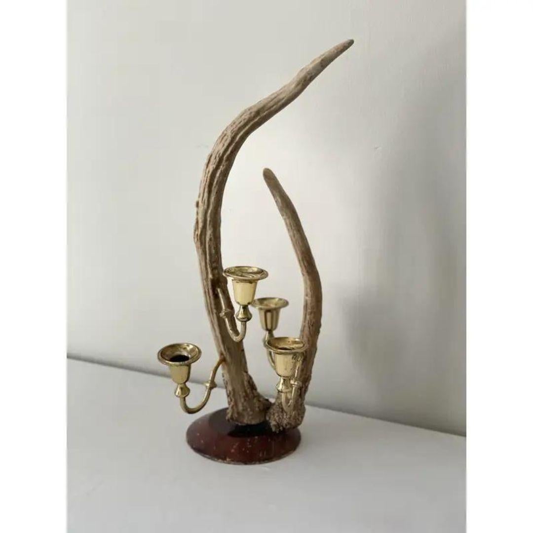 Black Forest Antler and Brass Candelabra For Sale 2