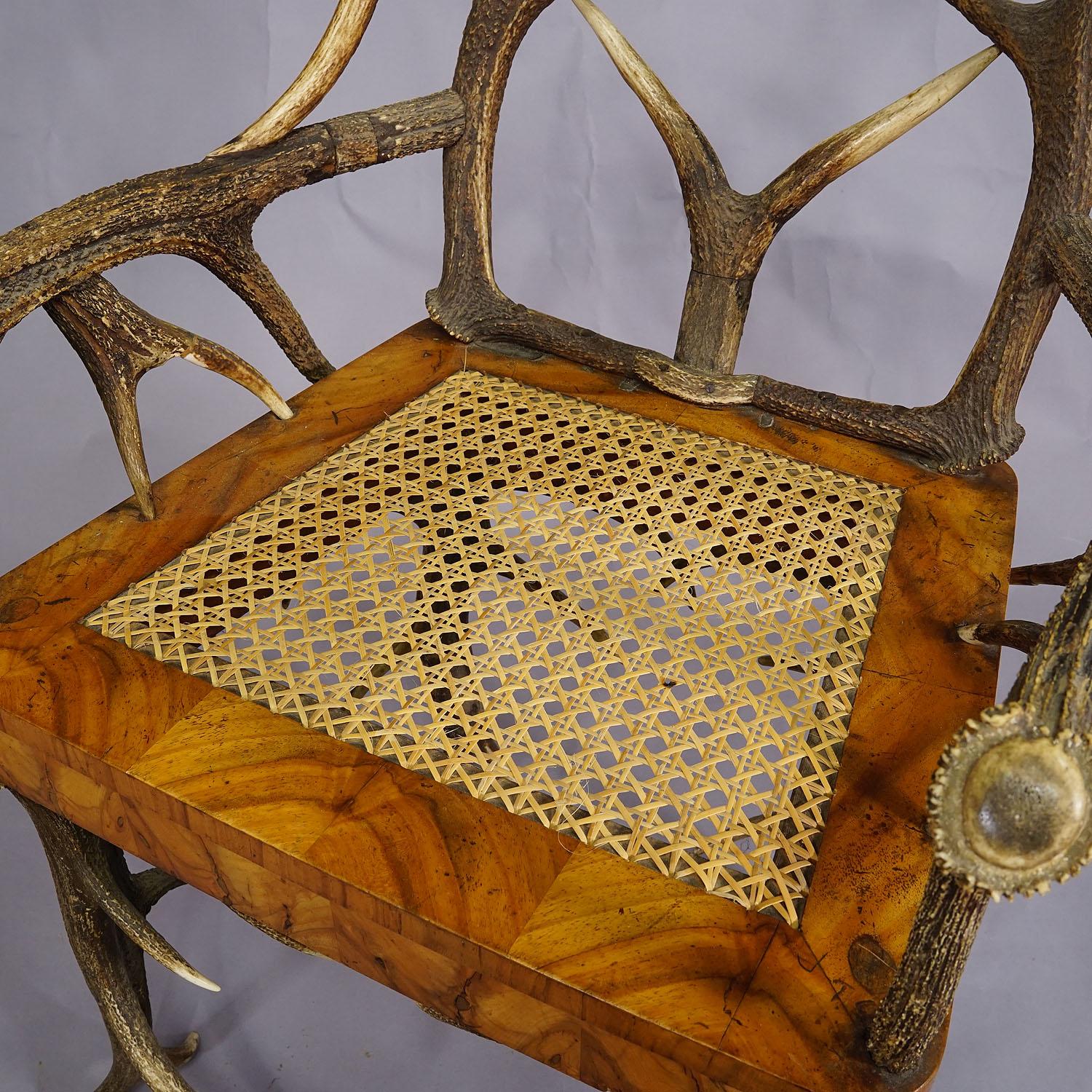 Black Forest Antler Arm Chair by J. A. K. Horn, Turingen 1840s For Sale 6