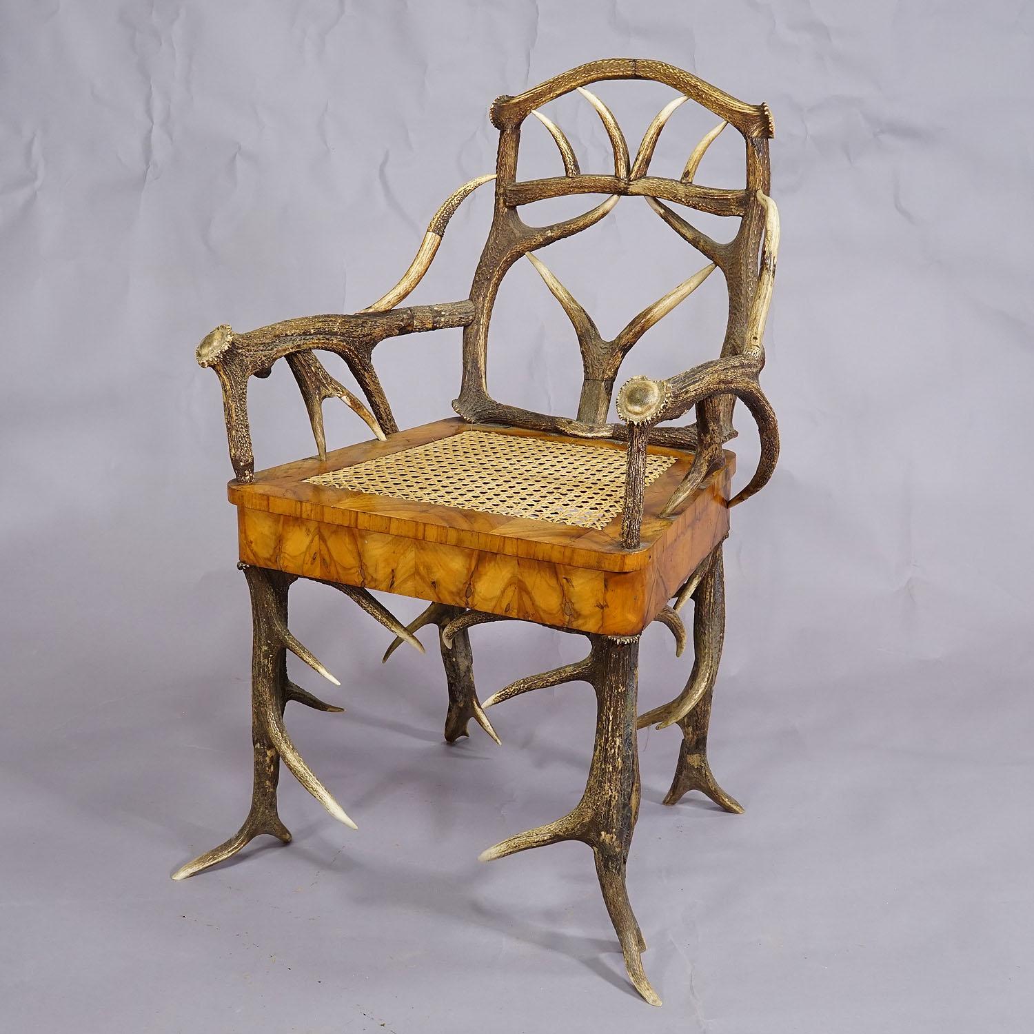 German Black Forest Antler Arm Chair by J. A. K. Horn, Turingen 1840s For Sale