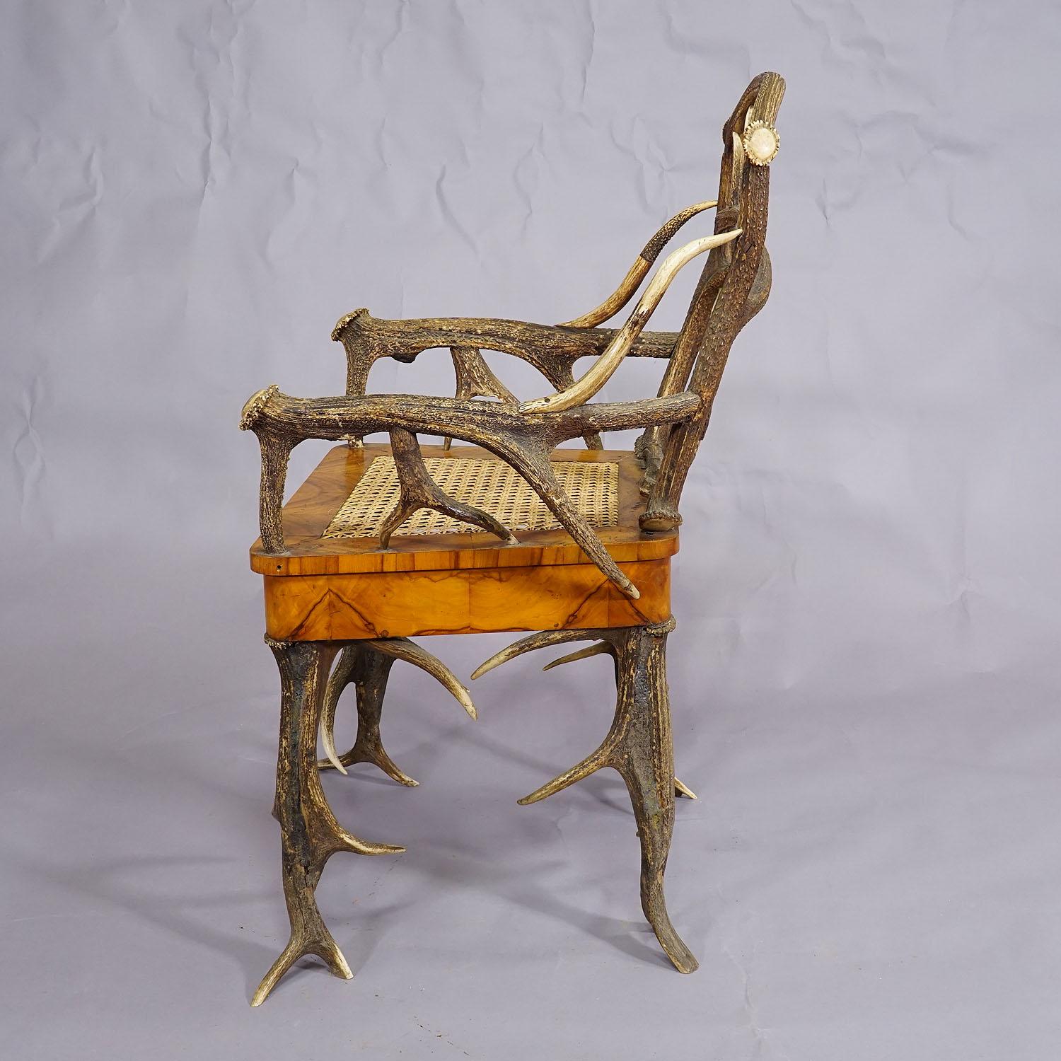 Black Forest Antler Arm Chair by J. A. K. Horn, Turingen 1840s In Good Condition For Sale In Berghuelen, DE