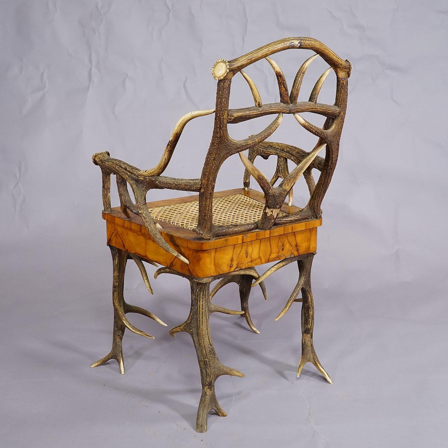 19th Century Black Forest Antler Arm Chair by J. A. K. Horn, Turingen 1840s For Sale