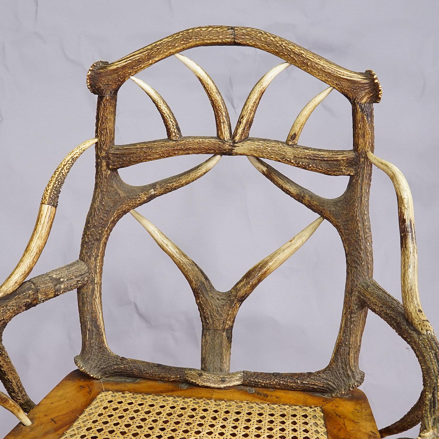 Black Forest Antler Arm Chair by J. A. K. Horn, Turingen 1840s For Sale 1