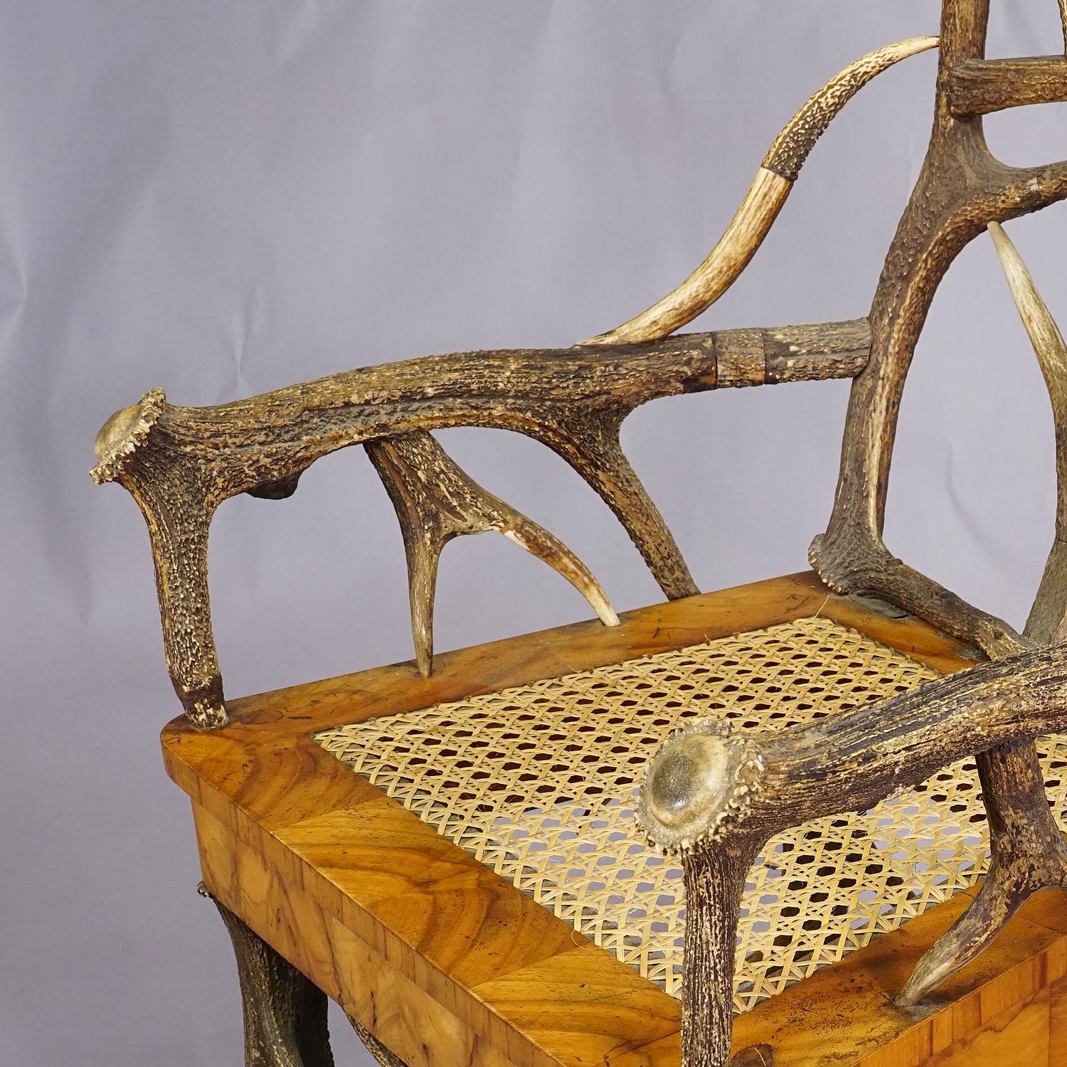 Black Forest Antler Arm Chair by J. A. K. Horn, Turingen 1840s For Sale 2