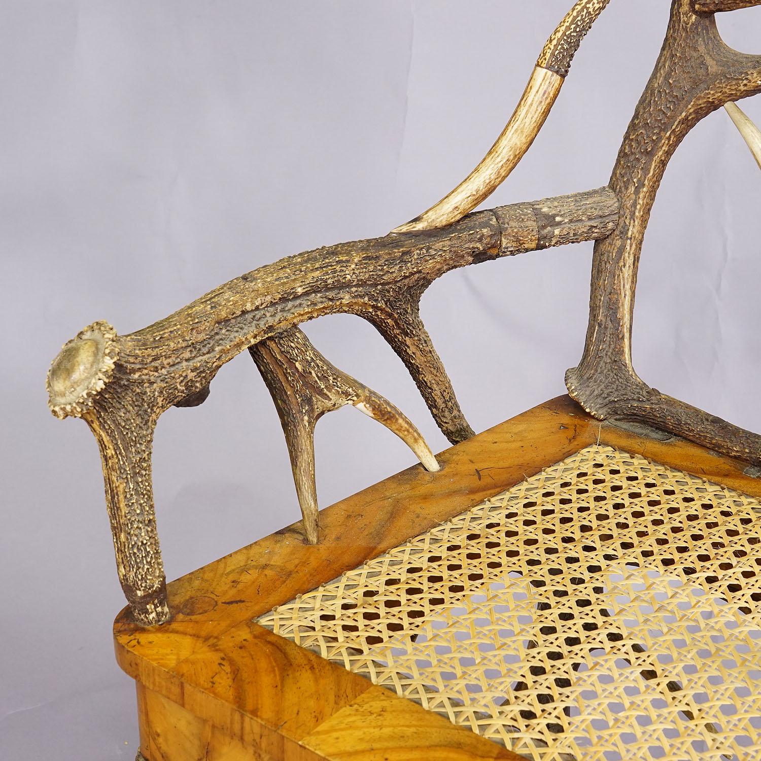 Black Forest Antler Arm Chair by J. A. K. Horn, Turingen 1840s For Sale 3