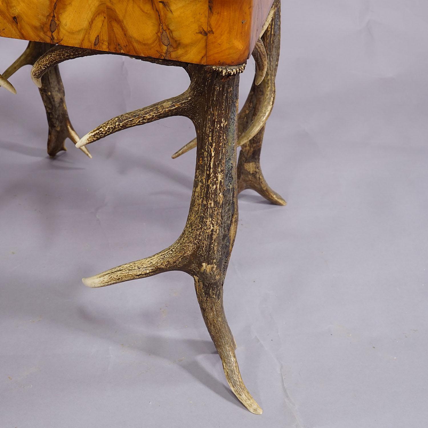Black Forest Antler Arm Chair by J. A. K. Horn, Turingen 1840s For Sale 4